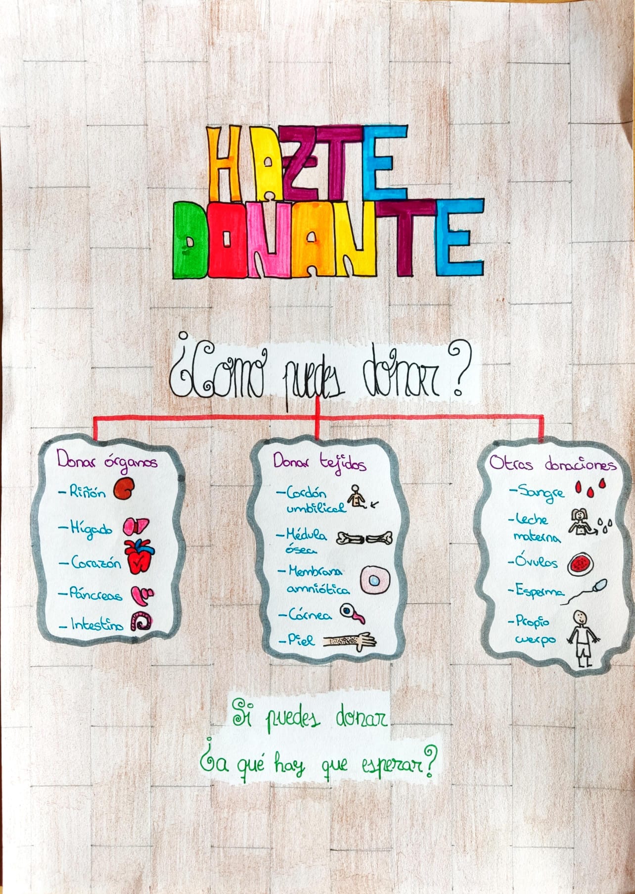 Hazte donante